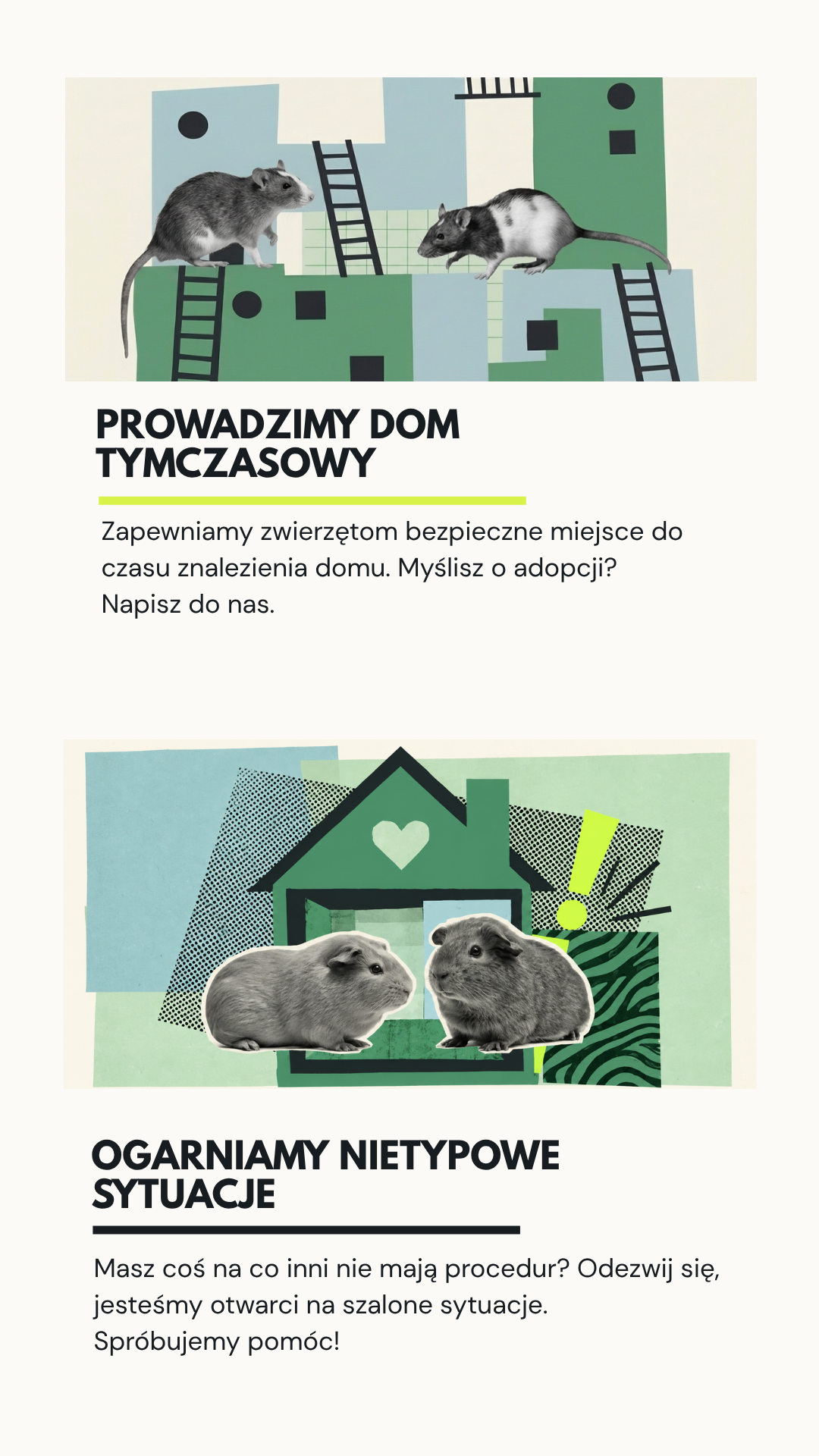 Dom tymczasowy i nietypowe sytuacje.