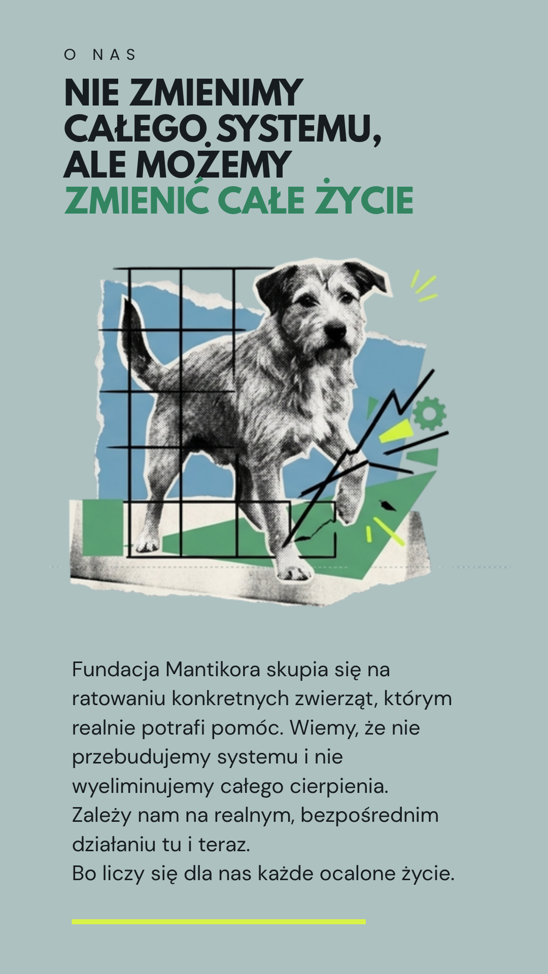 O Fundacji Mantikora.