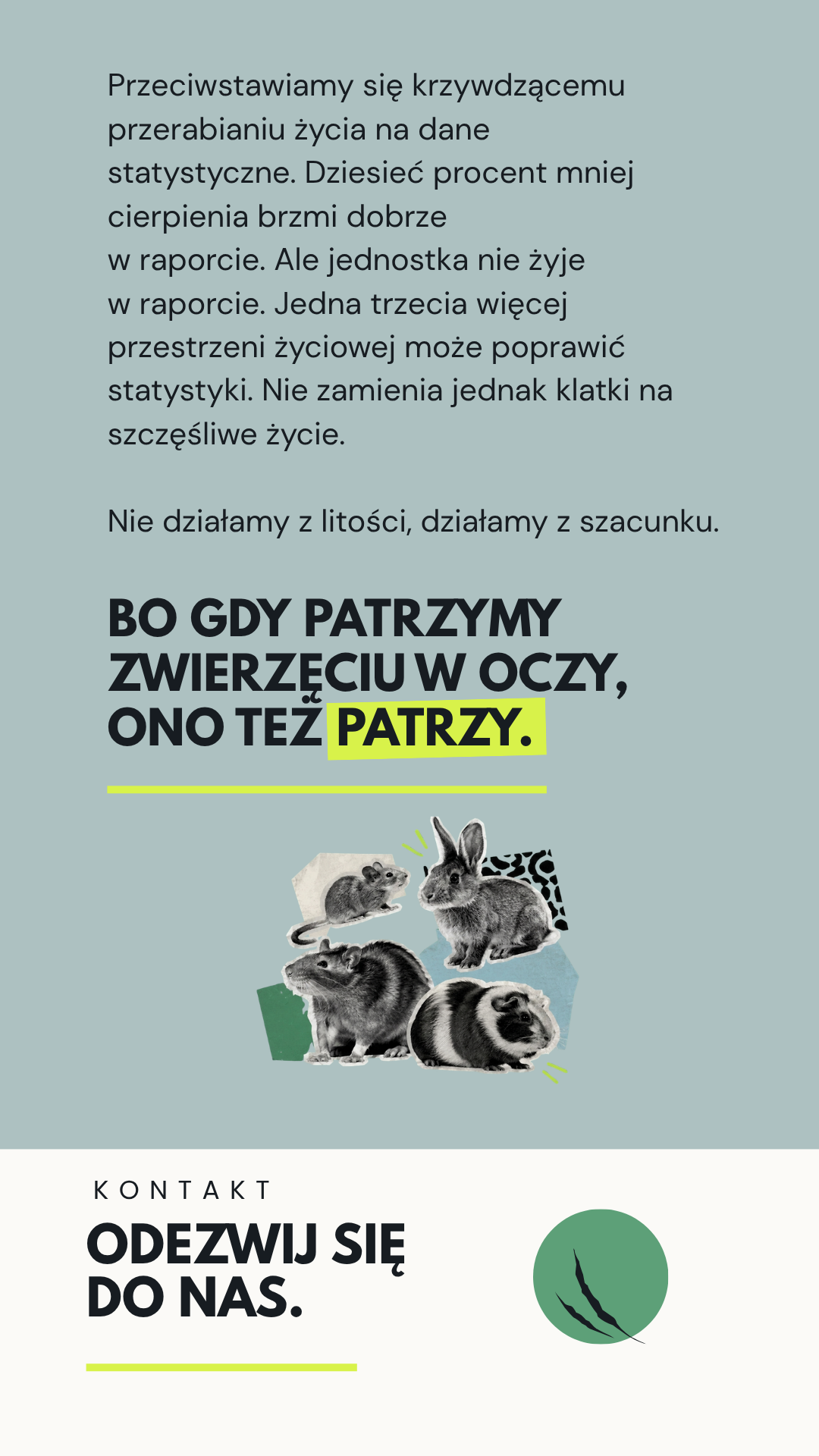 Kontakt z Fundacją Mantikora.