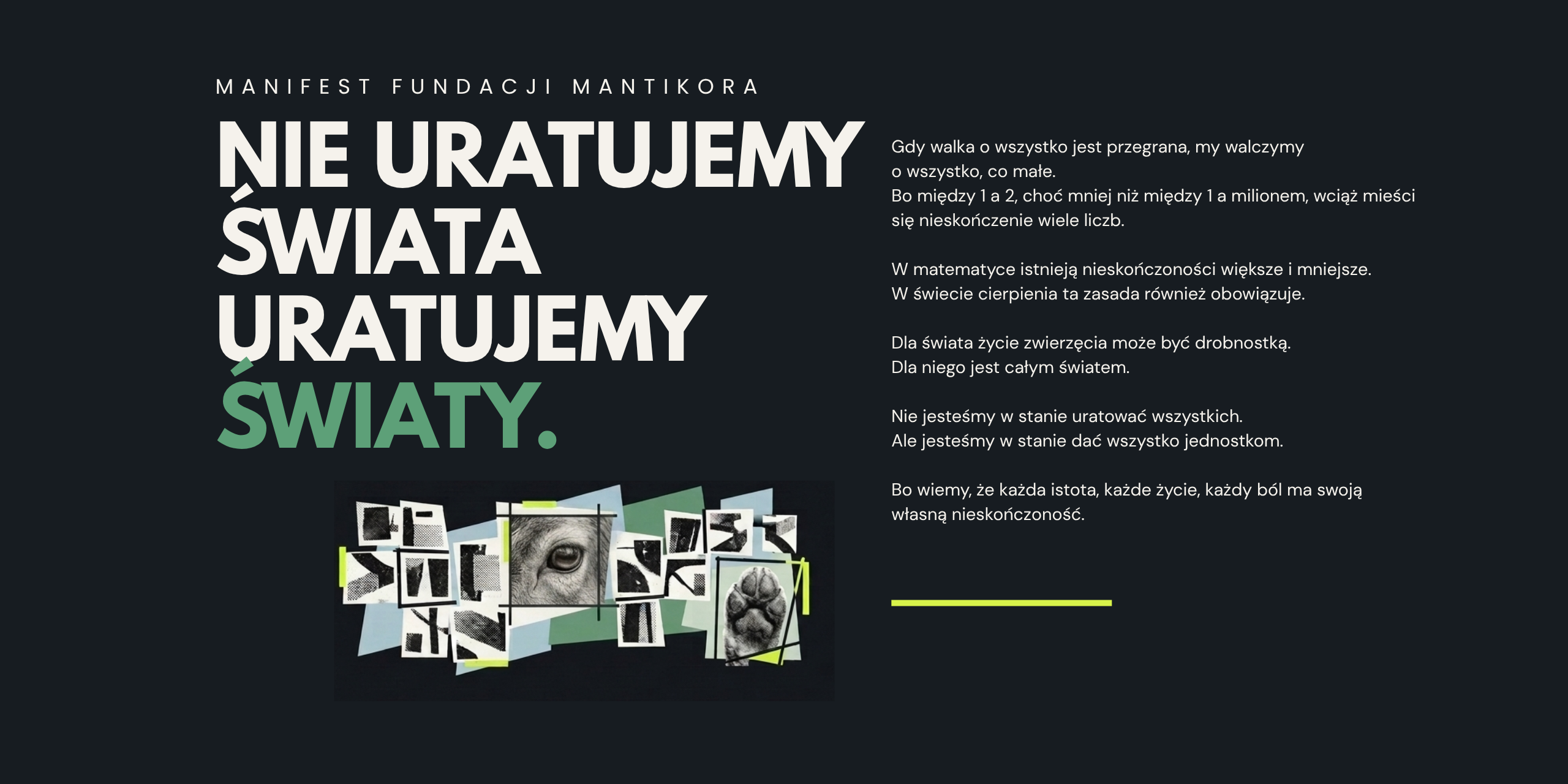 Manifest Fundacji Mantikora.