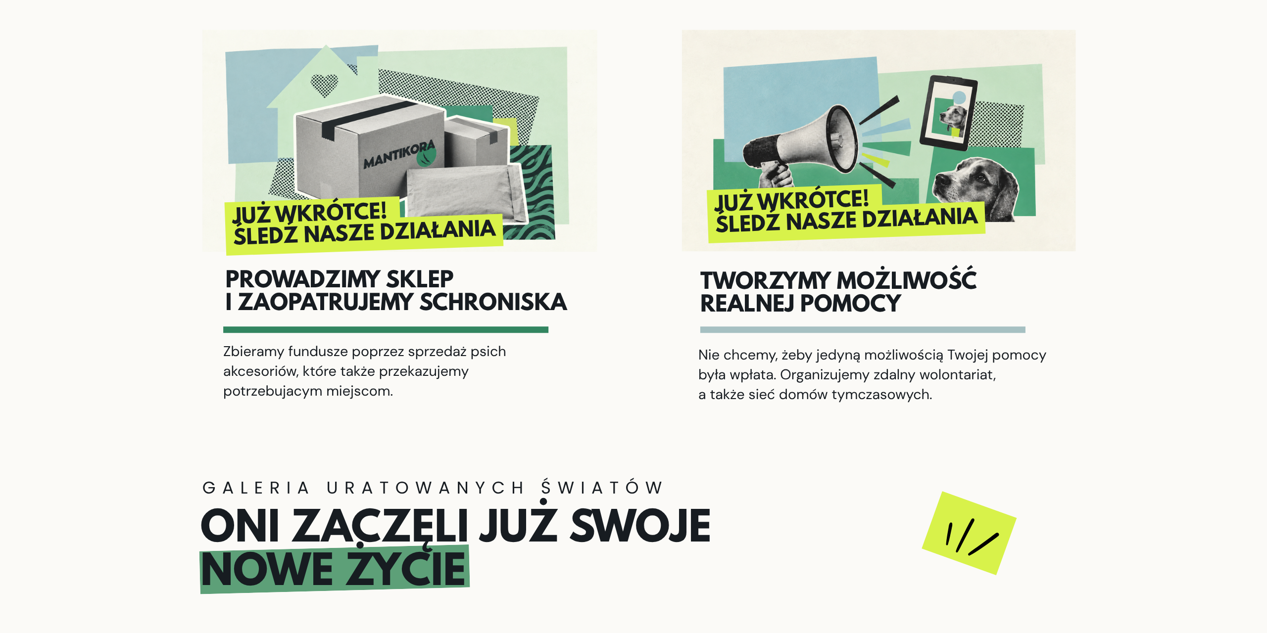 Działania Fundacji Mantikora.