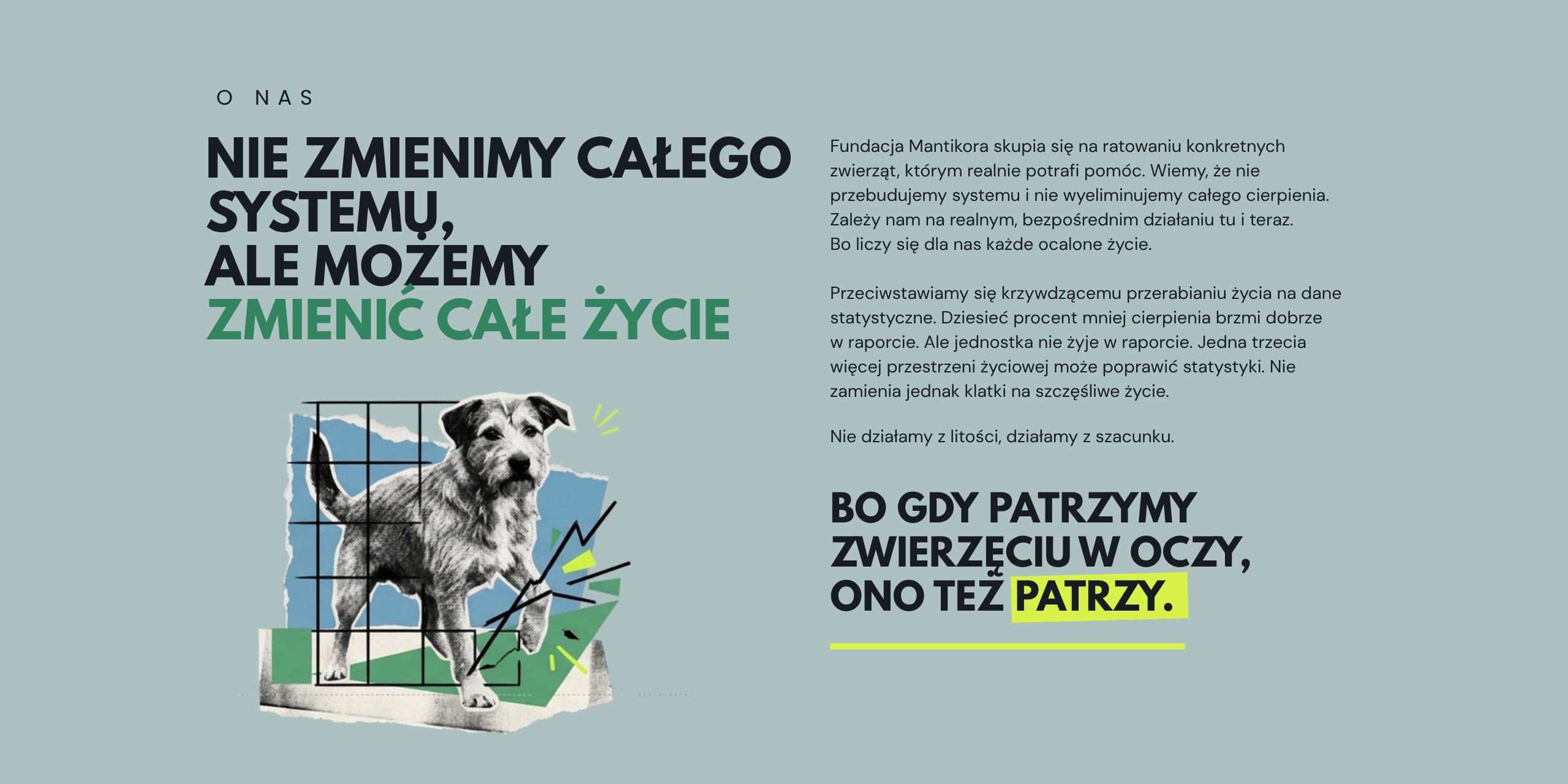 O Fundacji Mantikora.